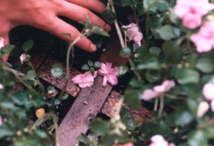 scan0006.tif